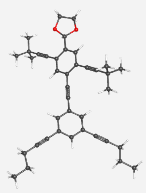 Nanoputian